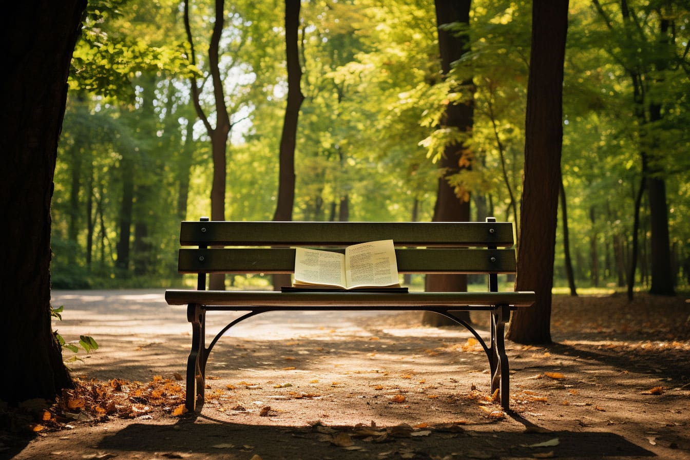 Park Bench - Outdoors